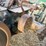 john-deere-model-a-image-48