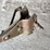 john-deere-14-image-9
