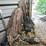 #7102-•-hunting-equipment-image-3
