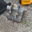 caterpillar-20-image-3
