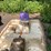 #7012-•-water-wheeler-pedal-boat-image-8