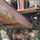 #102-•-70'-bark-conveyor-image-16