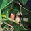 1997-john-deere-556-image-38