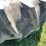 #4692-•-firestone-24.5-x-32-tire-image-9
