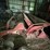 international-1460-image-9