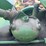 john-deere-gp-image-69