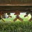 john-deere-220-image-7