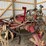 7-shank-anhydrous-bar-image-11