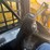 2001-john-deere-260-image-29