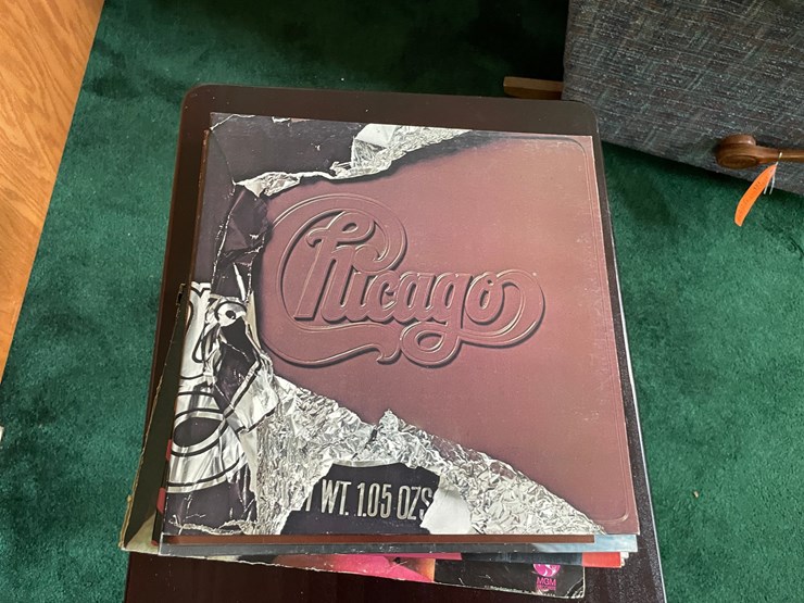 #7321-•-(17)-vinyl-records-image-13