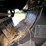 new-holland-big-baler-340-image-31