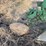 john-deere-pull-type-three-bottom-plow-image-17