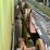 #196-•-belt-conveyor-image-10