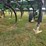 john-deere-2210-image-46
