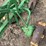 john-deere-pull-type-two-bottom-plow-image-11