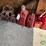 husky-tool-bag-and-gas-cans-image-1