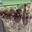 john-deere-11-image-8