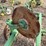 john-deere-pull-type-two-bottom-plow-image-13