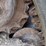 bobcat-t190-image-13