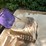 #7012-•-water-wheeler-pedal-boat-image-9