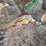 john-deere-pull-type-three-bottom-plow-image-25