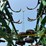 2014-john-deere-2410-image-21