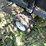 #7009-•-small-lawn-&-dump-trailer-image-5