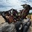 bush-hog-tdm11-image-5