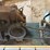 #127-•-4-strand-transfer-deck-image-11