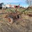 john-deere-pull-type-three-bottom-plow-image-1
