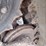 bobcat-t770-image-15