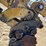 1999-caterpillar-301.5-image-13
