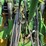 john-deere-6175r-image-49