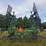 john-deere-2210-image-28