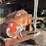 #146-•-montgomery-34hd-hzf-hog-grinder-image-4