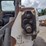 bobcat-s510-image-19