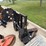 dymax-ranch-axe-tree-saw-skid-attach-image-5