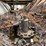 #102-•-70'-bark-conveyor-image-5