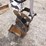 bobcat-331e-image-16