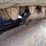 bobcat-t190-image-23