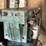 #181-•-porter-chop-saw-image-7