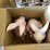 #4717-•-kitchen-items-image-5