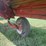 2004-case-ih-8220-image-21