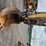 komatsu-pc120-image-13