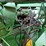 1997-john-deere-9600-image-22