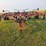wil-rich-5800-image-3