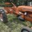 allis-chalmers-b-image-6