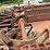 #110-•-4-strand-log-deck-image-6