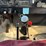 1979-ihc-1700-single-axle-grain-truck,-15’-steel-box-with-622-schwarts-hoist,-steel-floor,-136k-mile-image-16