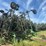 john-deere-737-image-6